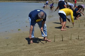 Mangrove Planting 2015